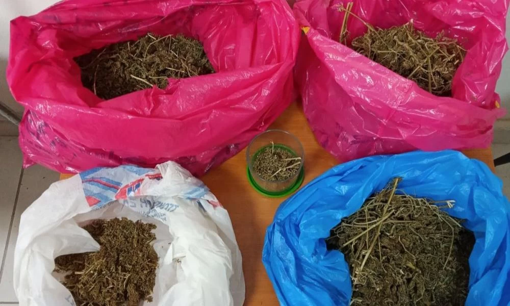 Πρέβεζα: 8 συλλήψεις για καλλιέργεια και εμπορία ναρκωτικών